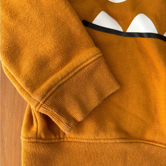Baby Gap‎ Lil' Monster Hooded Sweater Size 2T - Picture 4 of 5